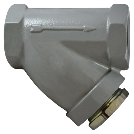 SC0150B112AD-20S (Paget Strainer) Strainer-1-1/2 Style B 20 Msh Plug