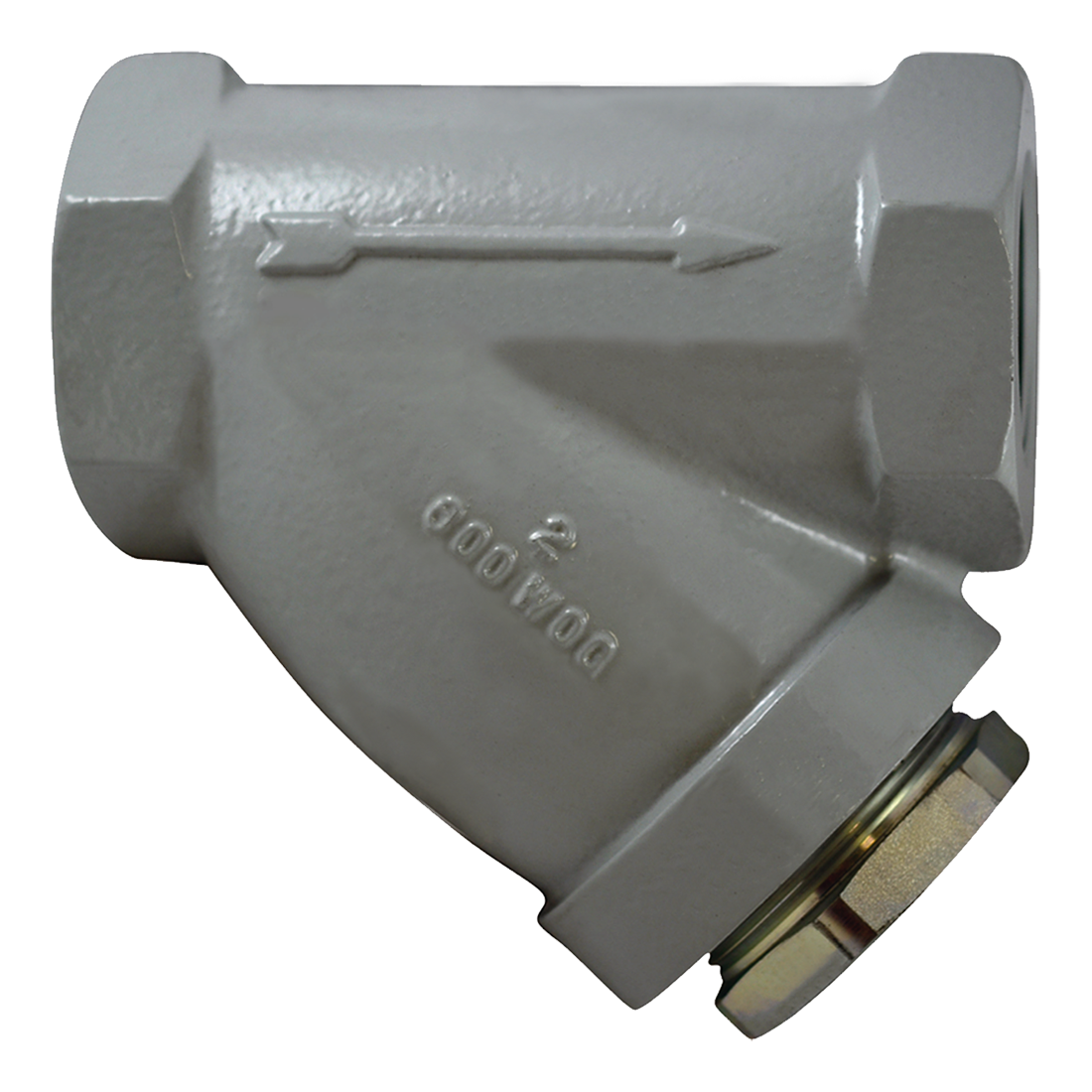 SC0200B112AD-20S (Paget Strainer) Strainer-2 Style B Screen Ss Plug