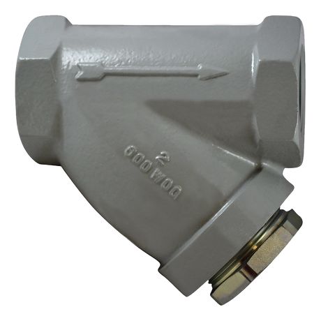 SC0200B112AD-20S (Paget Strainer) Strainer-2 Style B Screen Ss Plug