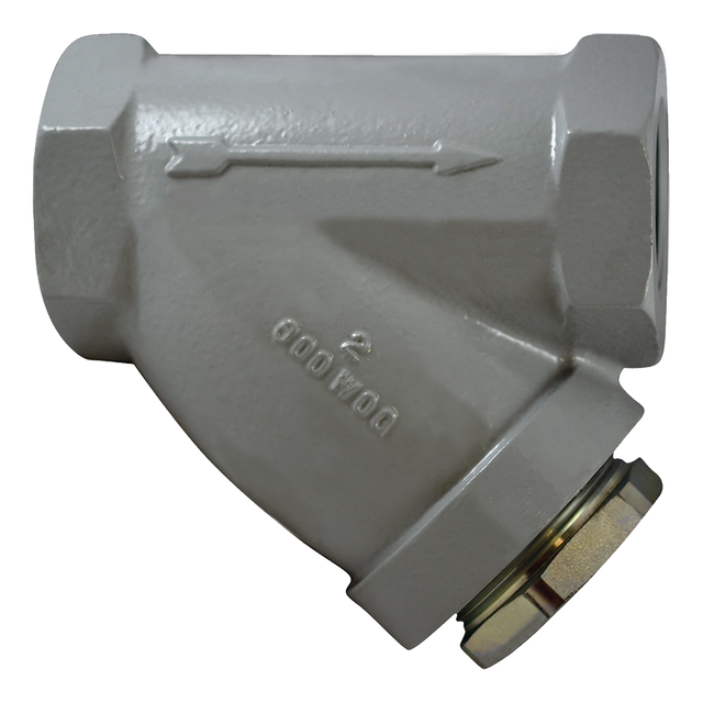 SC0200B112AD-20S (Paget Strainer) Strainer-2 Style B Screen Ss Plug
