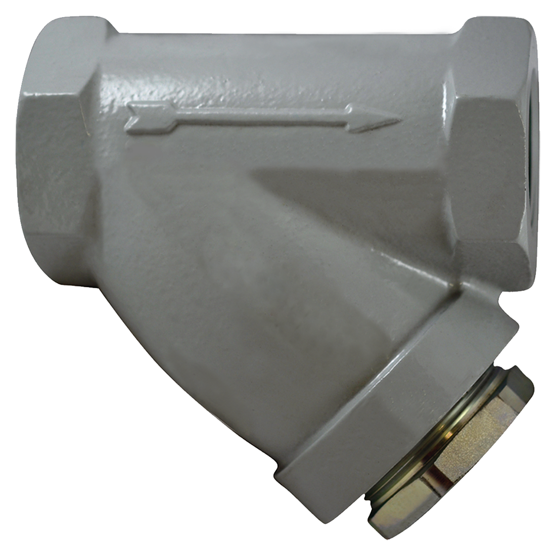 SC0075B112AD-20S (Paget Strainer) Strainer-3/4 Style B Screen Ss Plug