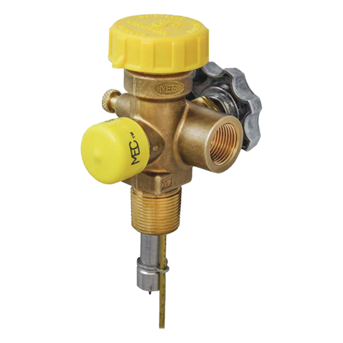 MES-PVE2030BCSC-11.6 (Marshall Excelsior) Valve-Clus Multisvc 3/4Ngt Fil 375Psi