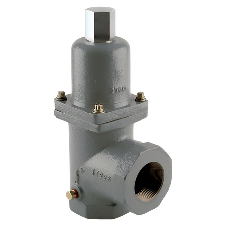 N100A-08-2 (Fisher) Valve-Bypass 1 Fnpt 50-150 Psig