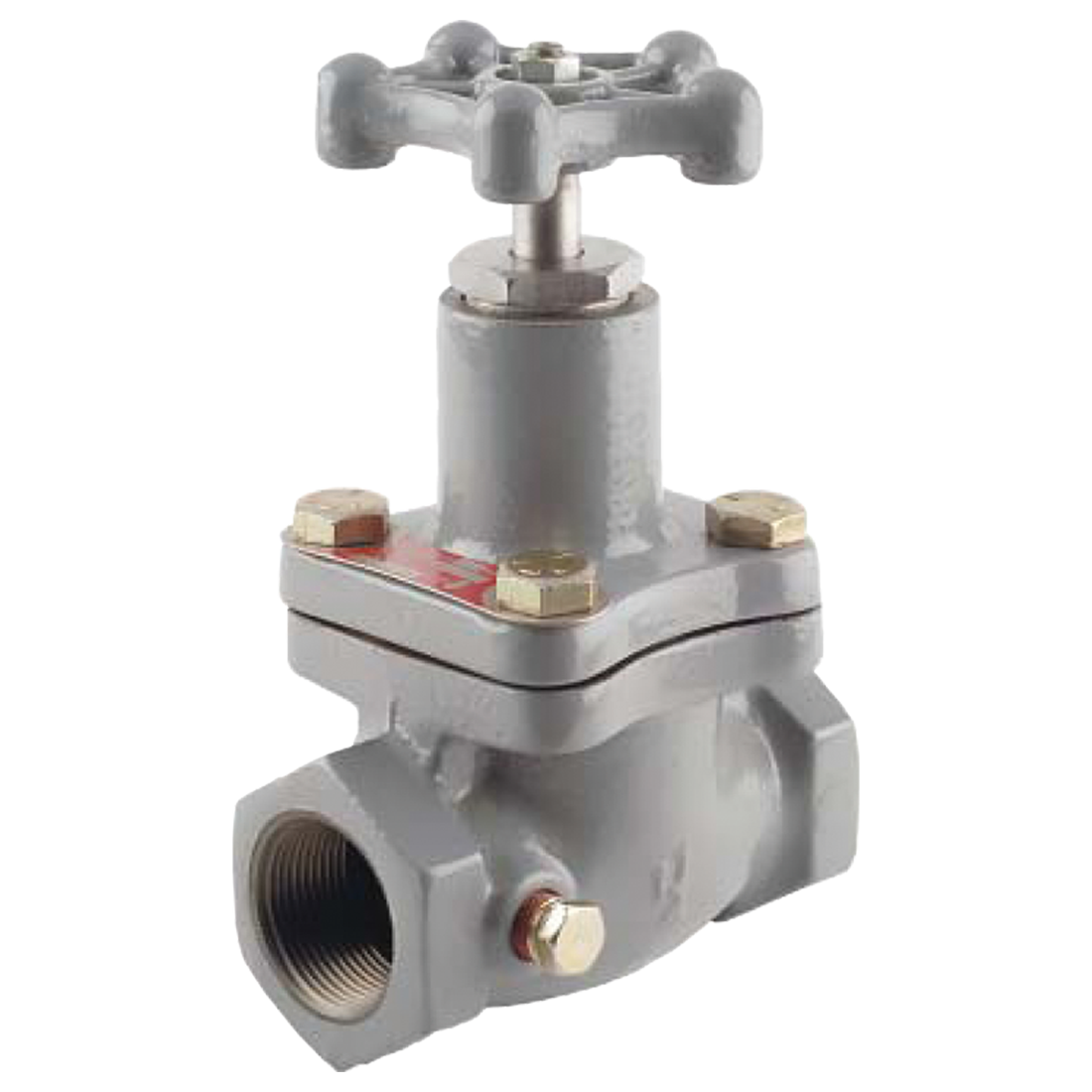 N310-10 (Fisher) Valve-Globe 1-1/4 Fpt