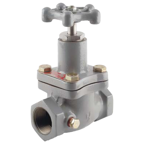 N310-10 (Fisher) Valve-Globe 1-1/4 Fpt