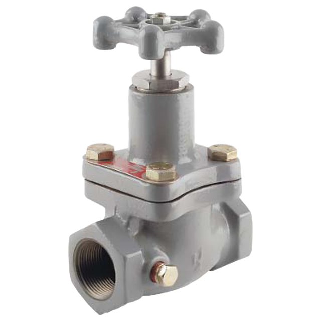 N310-10 (Fisher) Valve-Globe 1-1/4 Fpt