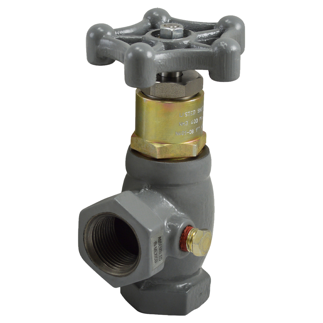 N401-08 (Fisher) Valve-Angle 1 Fpt