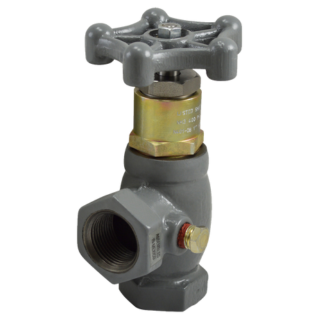 N401-08 (Fisher) Valve-Angle 1 Fpt