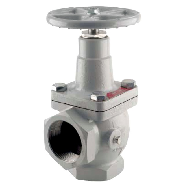 N410-16 (Fisher) Valve-Angle 2 Fpt