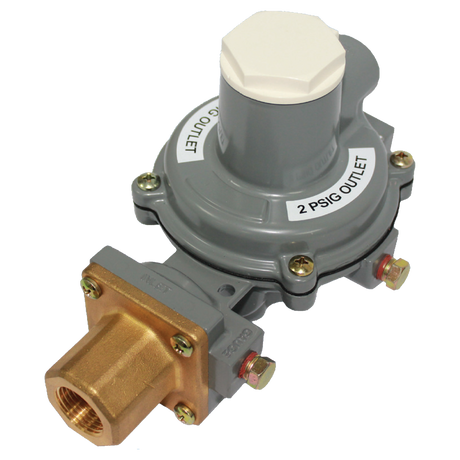 R232E-HBH (Fisher) Regulator-Intg 2Psi Fmpolx1/2 Fpt 500Kbt