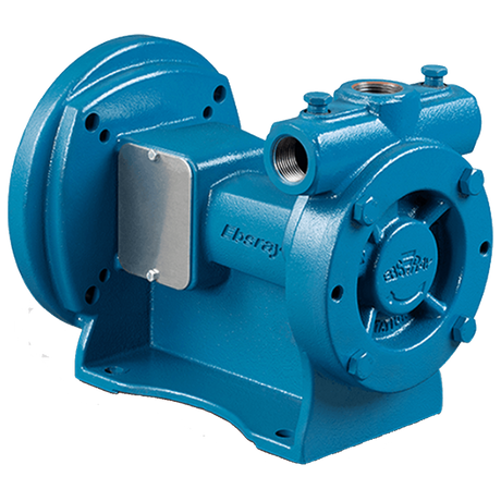 LP-RC20-1 (Blackmer) Pump-Ebsray Coup