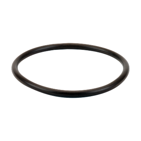 LS150-GV (Banjo) Gasket-1-1/2 - 2 Viton