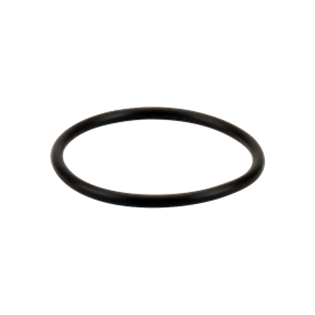 LST100-GV (Banjo) Gasket-3/4 Or 1 Poly T Strainer Viton