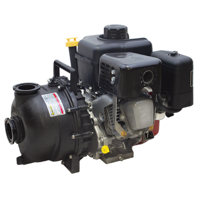 M220P6PROW (Banjo) Pump-Mfld 2 Fp Sup Pump 6.5Hp B&Spro Ws