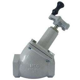 ME824P-16 (Marshall Excelsior) 2 In. FPT Globe Valve With Vapor