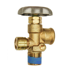 MES-PVE3250BC-312 (Marshall Excelsior) FPOL x 3/4 MPT Valve For Asme