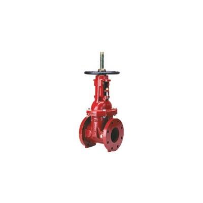 8-48OSY (Wilkins) | Gate Valve 8 Osy Flg X Flg | Osy Gate Valve | Flanged X Flanged