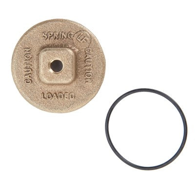 0794041 (Watts) | RK 719 C 1 | 1st or 2nd Check Cover Kit