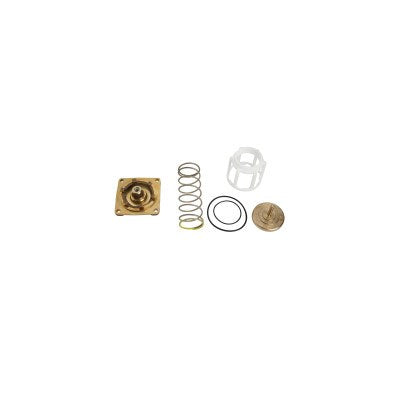 0794077 (Watts) | RK 909 M1 PC CK1 1 1/4-2 | 1st Check Repair Kit